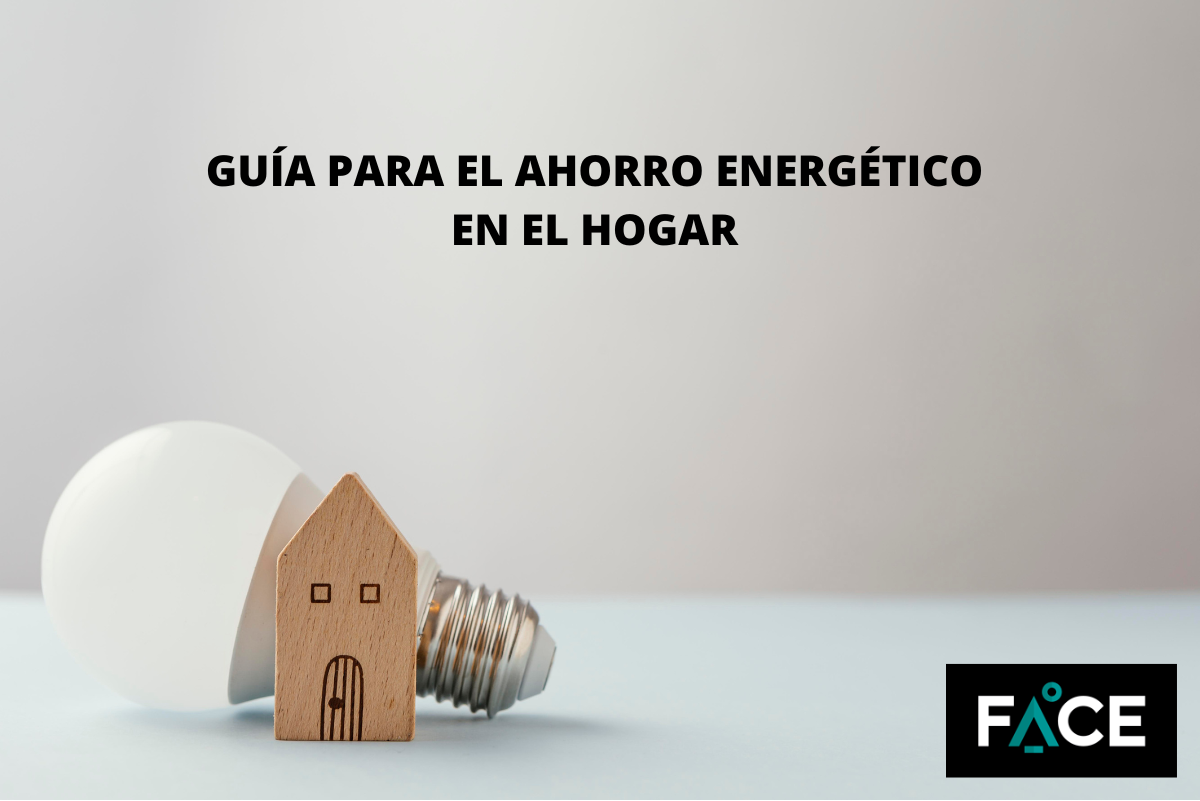 FACE elaboró su guía para el ahorro energético en el hogar 